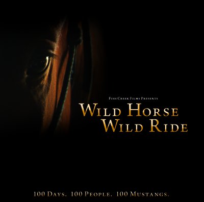 wild-horse
