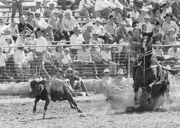 Inducted in the Livestock category is Fred, the legendary rope horse of six-time Canadian Tie-Down Roping Champion Larry Robinson. Photo courtesy Robinson family.
