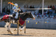 Jouster galloping down the list