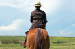 When viewed from behind, a correctly seated rider is straight to the horse; the only thing different is the "missing" right leg.