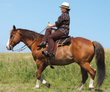 The secure seat comes from the "purchase" of the rider's lower right leg against her horse's left shoulder. 