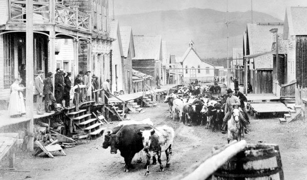 Cattle drive down Main Street of Barkerville, B.C. ca. 1875. Interestingly, Barkerville’s main street doesn’t look all that much different today—a testament to the careful restoration of this gold rush town. Image A-03787 courtesy of Royal BC Museum, BC Archives.