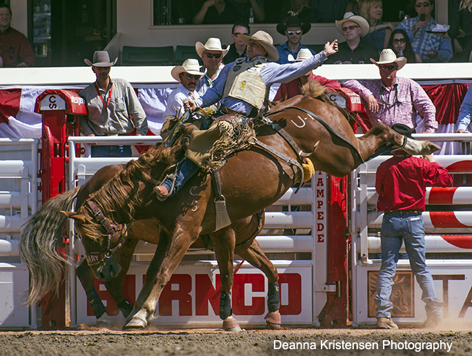 Dustin Flundra scoring an 86.5, aboard the Calgary Stampede horse Until Kamloops on Wildcard Saturday.[