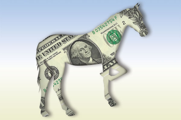 buyinghorses-1408-slide