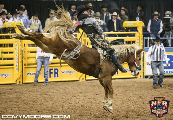 Nfr16 Jake Vold 89 5 Flyingu Rodeos Lil Red Hawk Canadian Cowboy