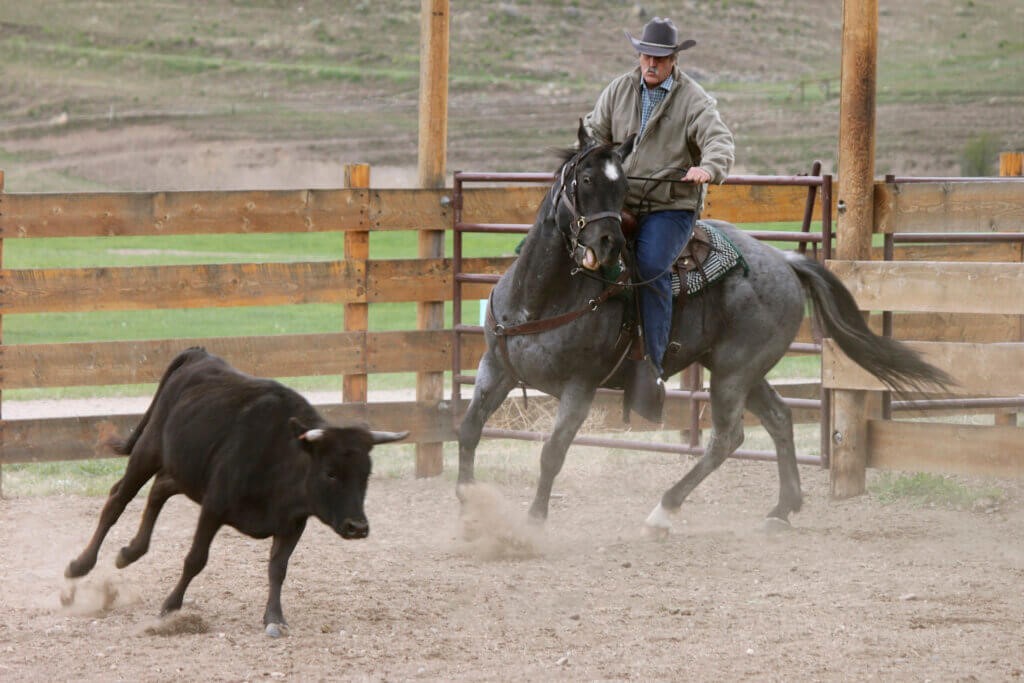 Triple L Cattle Handling Ranch Rodeo